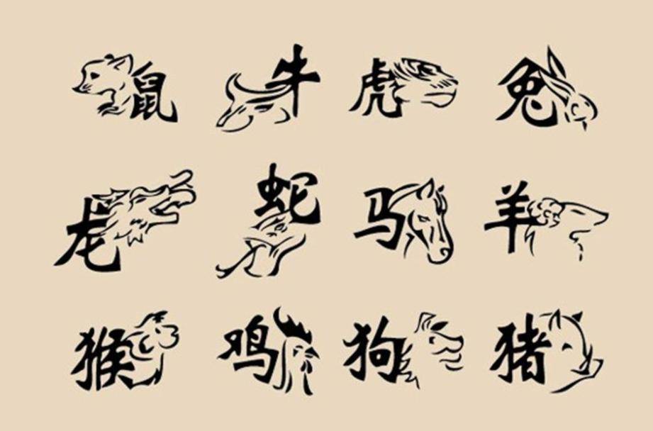 执两用中打一生肖请全面2释义、解释与落实、全面解答解释落实